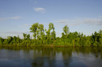 USA, Alabama, Tombigbee River by Danita Delimont