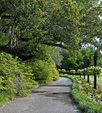 Bellingrath Gardens in Theodore, Alabama, USA. von Danita Delimont