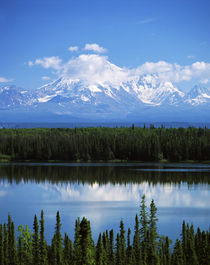 USA, Alaska, Willow lake and Mt Wrangell in Wrangell, St von Danita Delimont
