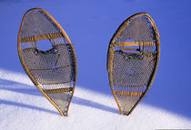 Snow Shoes Stuck in Snow by Danita Delimont