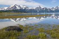 USA, Alaska, Glacier Bay National Park von Danita Delimont