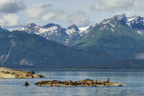 USA, Alaska, Glacier Bay National Park by Danita Delimont