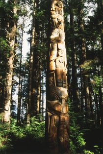 USA, Alaska, Suka, Totem pole in rainforest von Danita Delimont