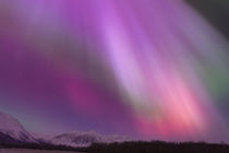 Aurora Borealis by Danita Delimont