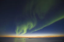 Beaufort Sea/ Arctic Ocean by Danita Delimont
