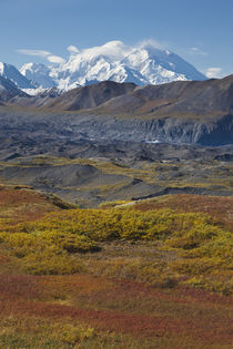 Mt. McKinley, tallest peak in North America by Danita Delimont