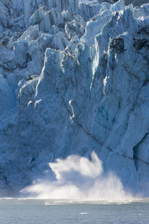 Surprise Glacier by Danita Delimont