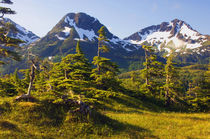 USA, Alaska, mountain landscape by Danita Delimont
