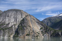 Eastern Rocky Cliffs of Endicott Arm Alaska by Danita Delimont