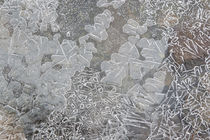 Frozen Runoff Creek by Danita Delimont
