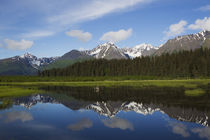 Kenai Mountain Range Reflections von Danita Delimont