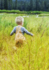 USA, Alaska, 2 year old child playing in tall grass, summertime. by Danita Delimont