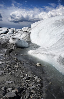 Vertical image of ice and glacial melt water of Matanuska Glacier by Danita Delimont