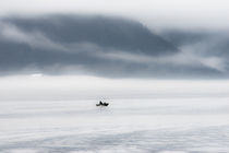 A lone fisher boat heading out in the fog of early morning S... by Danita Delimont