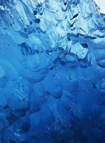 USA, southeast Alaska, View of blue pattern stranded iceberg... by Danita Delimont