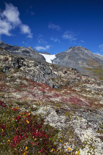 Autum Color in the Wrangell-St von Danita Delimont