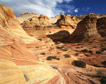 USA, Arizona, Paria Canyon, Sandstone formations at Coyote Buttes area by Danita Delimont