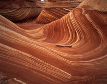 USA, Arizona, Wave, Coyote Buttes area of Paria Canyon, Verm... by Danita Delimont