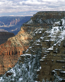 USA, Arizona, View of Grand Canyon National Park by Danita Delimont