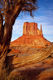 West Mitten, Monument Valley, Navajo Tribal Park, Arizona USA by Danita Delimont