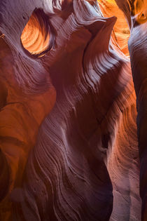 USA, Arizona, Canyon X von Danita Delimont