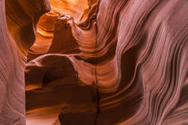 USA, Arizona, Canyon X by Danita Delimont