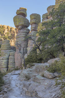 USA, Arizona, Chiricahua National Monument von Danita Delimont