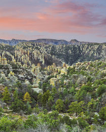 USA, Arizona, Chiricahua National Monument by Danita Delimont