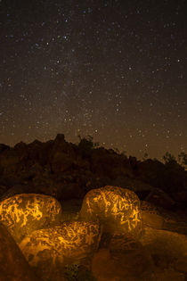 USA, Arizona, Painted Rock Petroglyph Site von Danita Delimont
