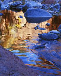 USA, Arizona, Coconino National Forest, Oak Creek, reflections by Danita Delimont