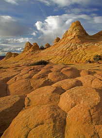 USA, Arizona, Vermillion Cliffs National Monument, Coyote Buttes von Danita Delimont