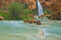 Havasu Falls on the Havasupai Reservation in Arizona, USA von Danita Delimont