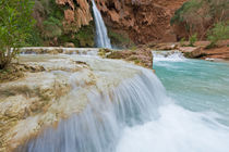 Havasu Falls on the Havasupai Reservation in Arizona, USA by Danita Delimont
