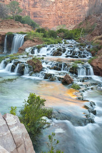 Navajo Falls on the Havasupai Reservation in Arizona, USA by Danita Delimont