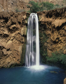 USA, Arizona, Grand Canyon National Park, Mooney Falls in Ha... by Danita Delimont
