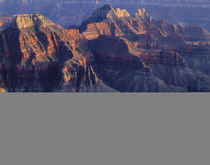 USA, Arizona, Grand Canyon National Park, North Rim, Evening... by Danita Delimont