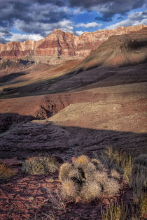 USA Arizona Grand Canyon Colorado River Float Trip Cardinas ... by Danita Delimont