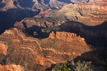 USA, Arizona, Grand Canyon, Yaki Point von Danita Delimont