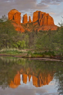 Cathedral Rock, Sunset, Red Rock Crossing, Sedona, Arizona, USA by Danita Delimont