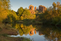 Sunset, reflections, Oak Crek, Cathedral Rock, Red Rock Cros... by Danita Delimont
