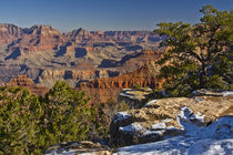 Vista, from Mather Point, South Rim, Grand Canyon National P... by Danita Delimont
