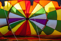 Lake Havasu Balloon Festival by Danita Delimont