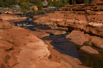USA, Arizona, Sedona, Slide Rock State Park by Danita Delimont