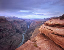 Colorado River at Toroweap Overlook, Grand Canyon National P... by Danita Delimont