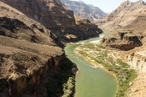 Colorado River by Danita Delimont