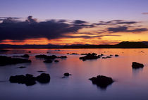 USA, California, Lee Vining, Sunrise at Mono Lake's Black Point by Danita Delimont