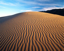 USA, California, Death Valley National Park, Mojave Desert, ... by Danita Delimont