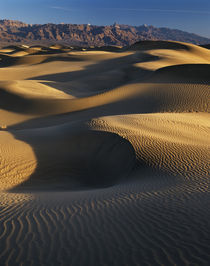 USA, California, Death Valley National Park, View of sand du... by Danita Delimont