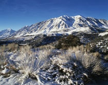 USA, California, Eastern Sierra Range, View of snow-covered ... von Danita Delimont