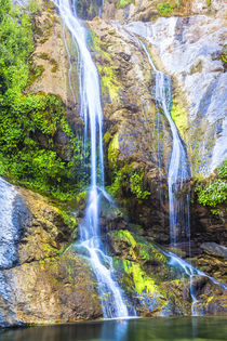 Salmon Creek Falls in the Santa Lucia mountains of California by Danita Delimont